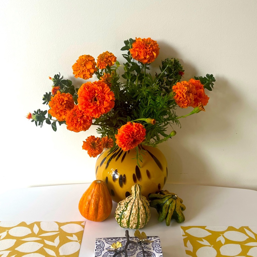 Meet your Posher, М